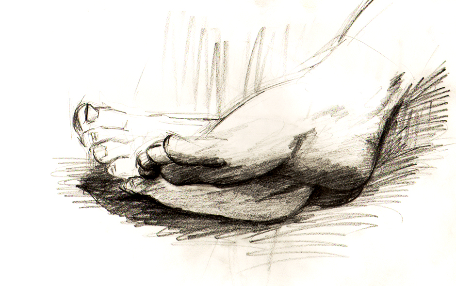 Feet - pencil sketch