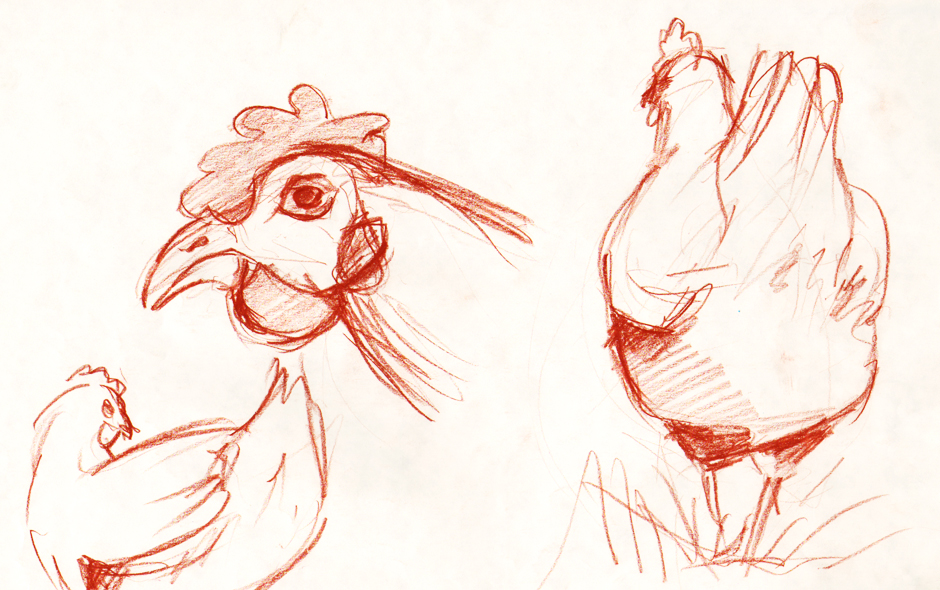 Sketches of animals - chicken