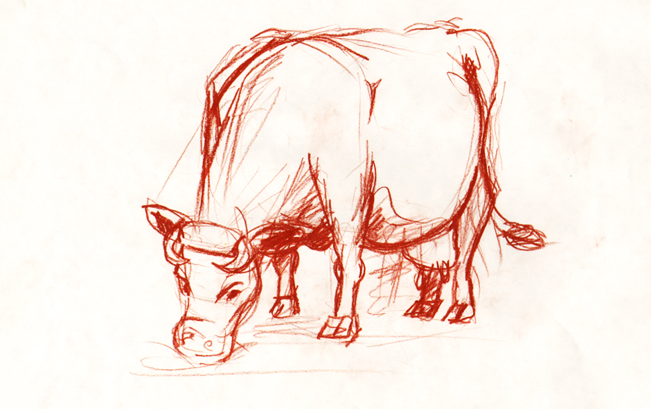 Szkice zwierząt - krowa