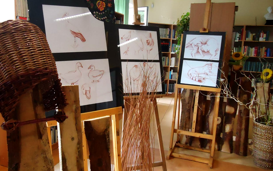 Sketches of animals - exhibition fot. Jola Kluzek